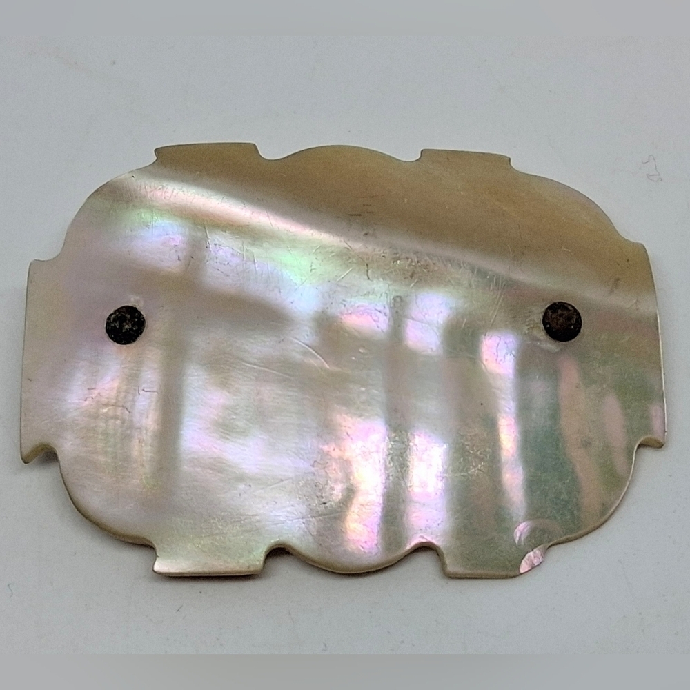 * Vintage Antique Large Mother Of Pearl Pin Brooch